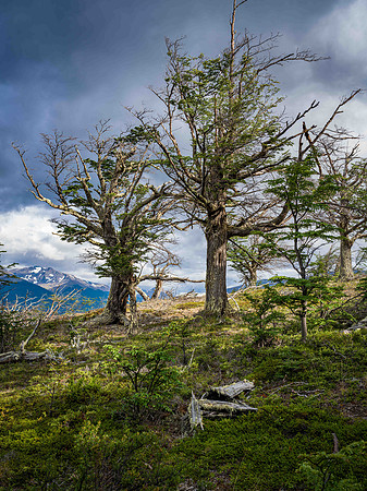 Patagonia-40