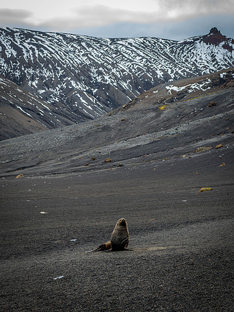 Antarctica-36