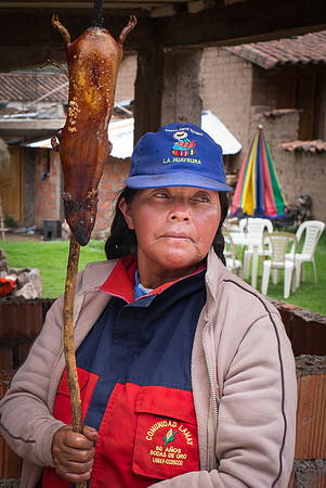 Cuy cook