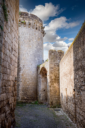 Tarquinia Tower