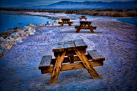 Picnic Tables
