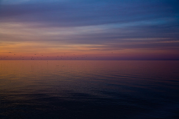 Last Light