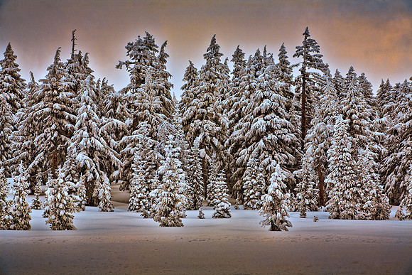 Snow Near Crater Lake