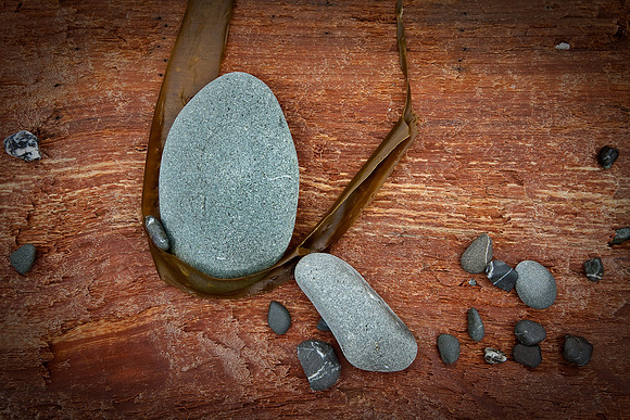 Beach Collection