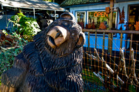 Redwood Bear