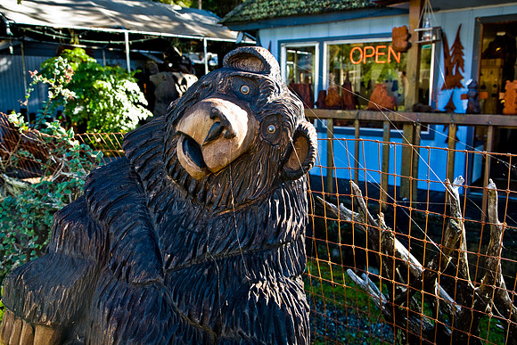 Redwood Bear
