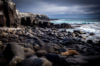 Ecuador & Galapagos