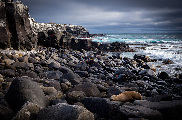 Ecuador and Galapagos-9