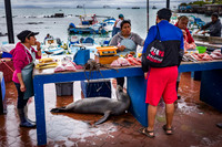 Ecuador and Galapagos-16