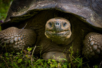 Ecuador and Galapagos-17