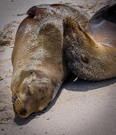 Ecuador and Galapagos-8
