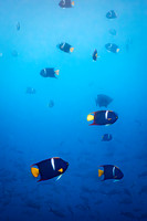 Ecuador and Galapagos-13