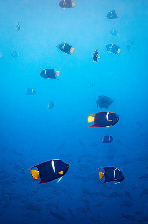Ecuador and Galapagos-13