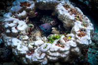 Ecuador and Galapagos-14