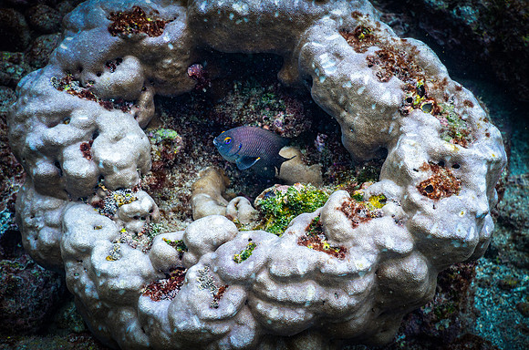 Ecuador and Galapagos-14