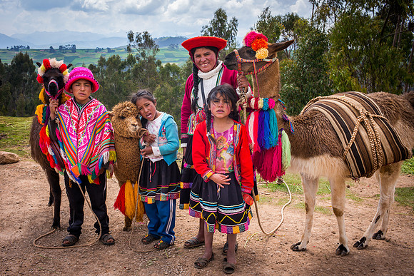 Children and Llamas