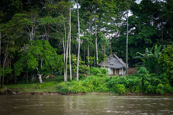 Riverfront home, Amazon Basin