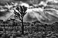 Approaching Storm