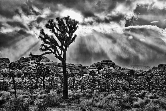 Approaching Storm