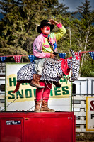 Rodeo Clown