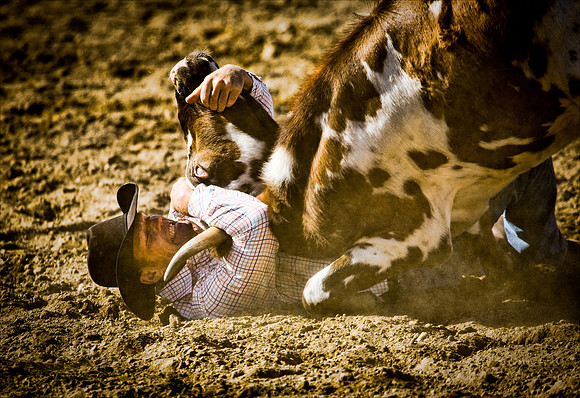 Steer wrestler