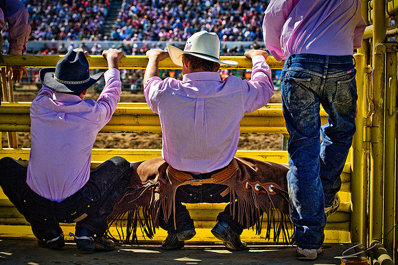 Cowboys behind the chutes
