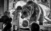 Cheyenne Mountain Zoo