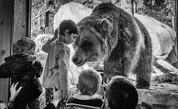 Cheyenne Mountain Zoo