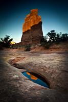 Tower Reflected