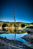 Lost Creek Snag