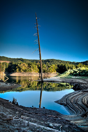 Lost Creek Snag