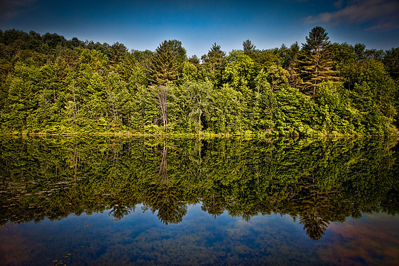 Vermont Reflections