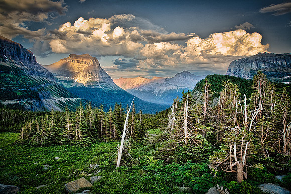 Logan Pass