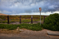 No Parking
