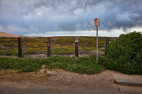 No Parking