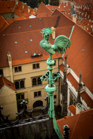 Czech Rooster