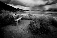 Edge of Mono Lake