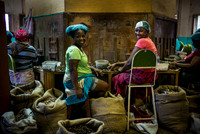 Nutmeg Factory