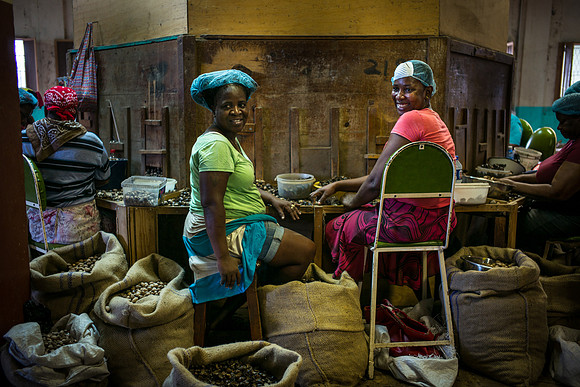 Nutmeg Factory