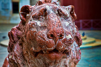 Venetian Lion