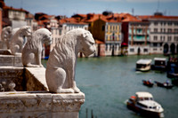 Lions by the Canal