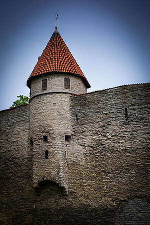 Talinn Wall