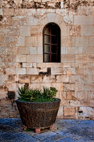 Bari still life 2