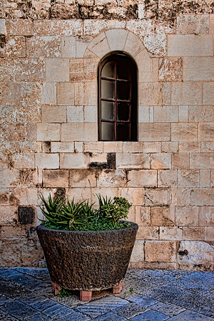 Bari still life 2