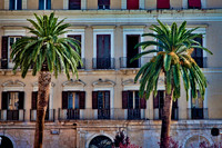 Palms in Bari