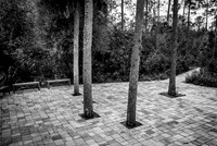 Palms, contained, Florida