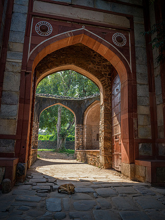 India-8