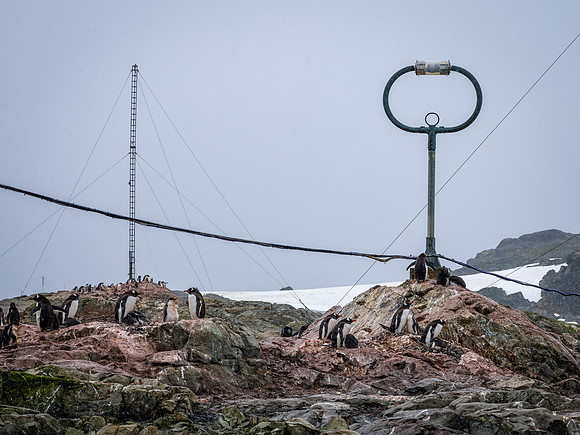 Antarctica-18