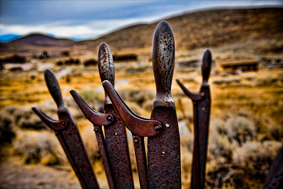 Bodie 24