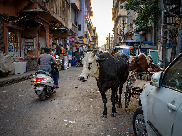 India-16